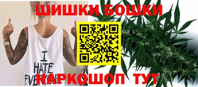 молекула духа Будённовск