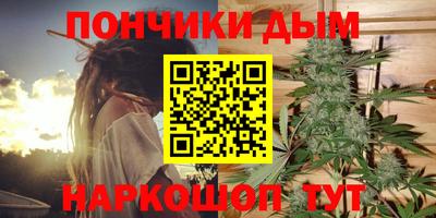 молекула духа Будённовск