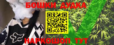 молекула духа Будённовск