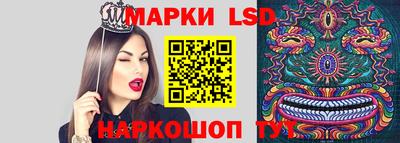 spice Бузулук