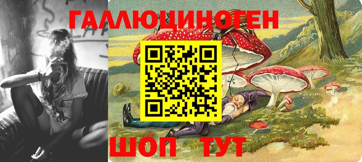 Псилоцибиновые грибы Psilocybe Донской
