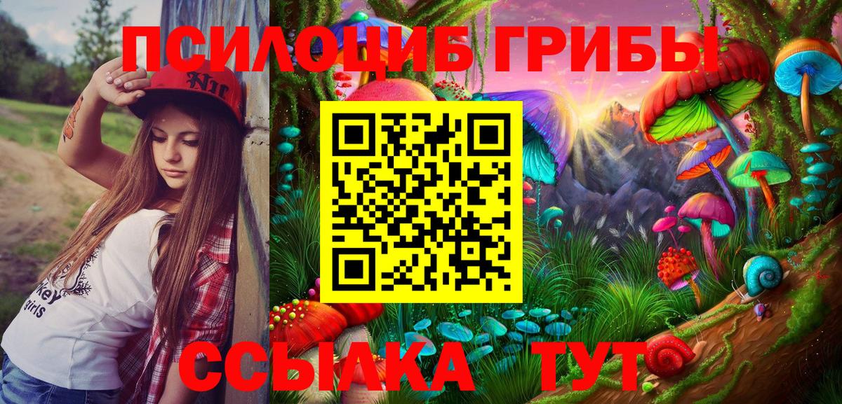 Донской  что такое   Вход с VPN  Псилоцибиновые грибы Magic Shrooms 